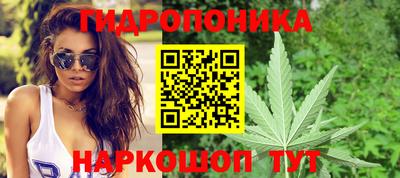МДПВ Пушкино